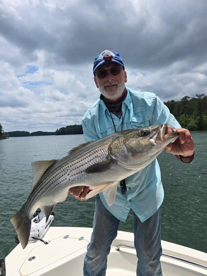 499378125 10236371498255963 4634178374903006357 n