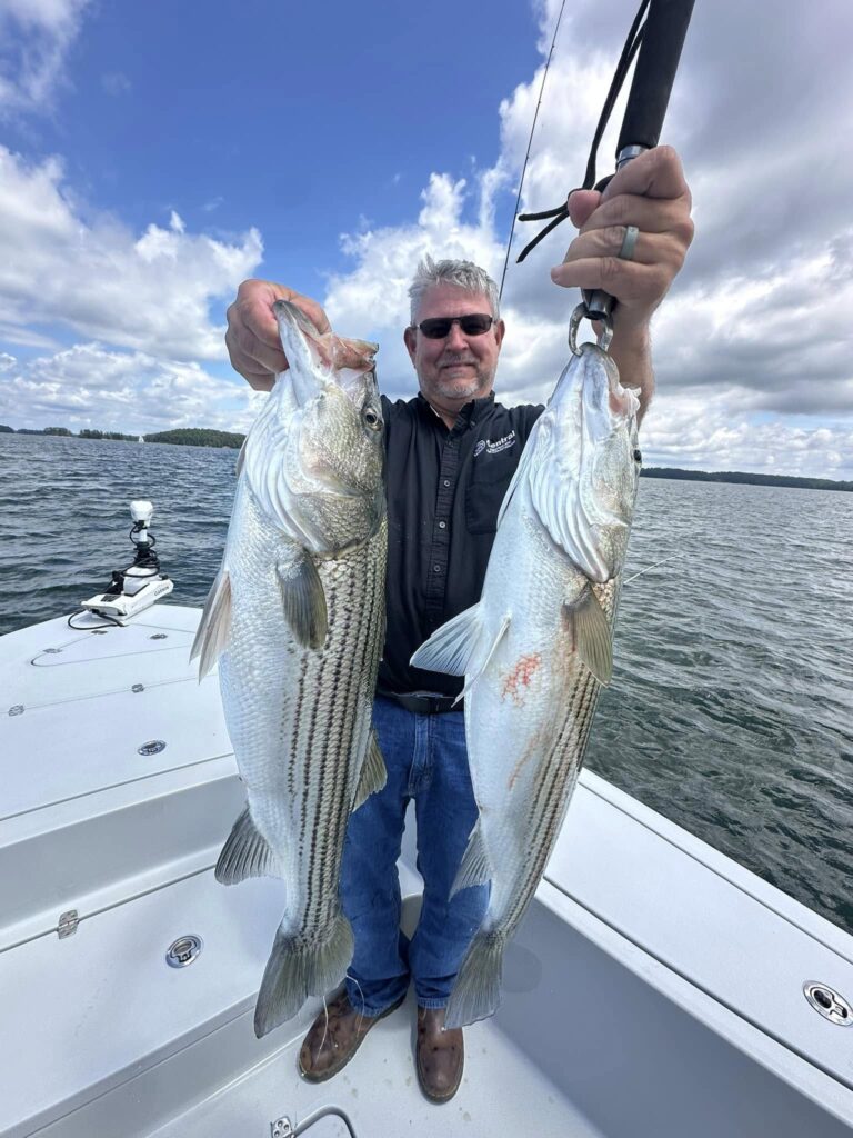 530030695 10237666436348606 4885334206228582156 n