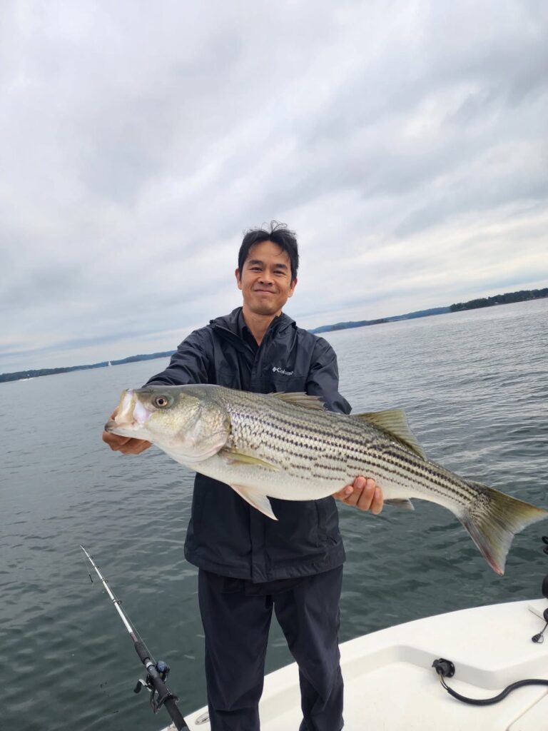 567533343 10238776569141232 8798455465379923429 n