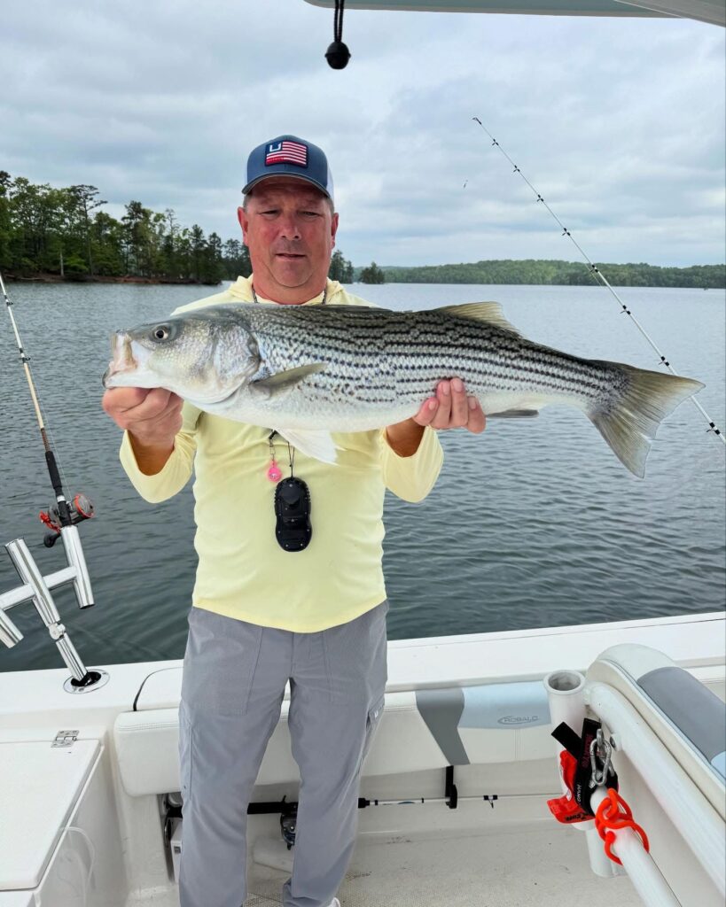 637646454 10240547823821492 1410835318720738774 n