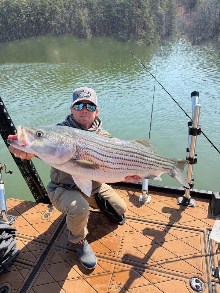 656155080 10241173026171160 8114272468381668429 n